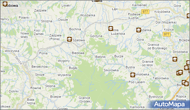 mapa Bieśnik gmina Łużna, Bieśnik gmina Łużna na mapie Targeo