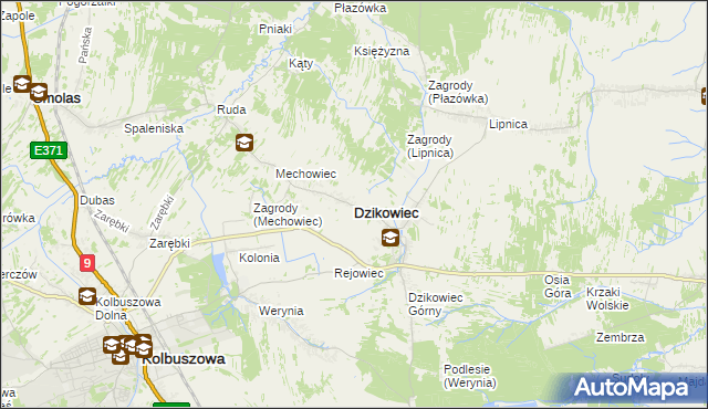 mapa Dzikowiec powiat kolbuszowski, Dzikowiec powiat kolbuszowski na mapie Targeo