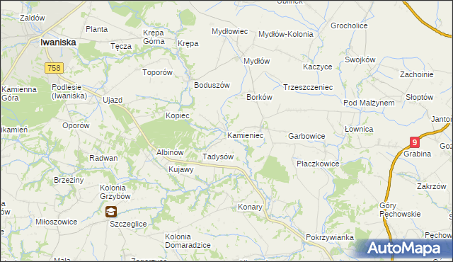 mapa Kamieniec gmina Iwaniska, Kamieniec gmina Iwaniska na mapie Targeo