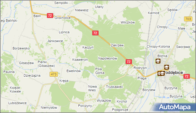 mapa Napoleonów gmina Poddębice, Napoleonów gmina Poddębice na mapie Targeo