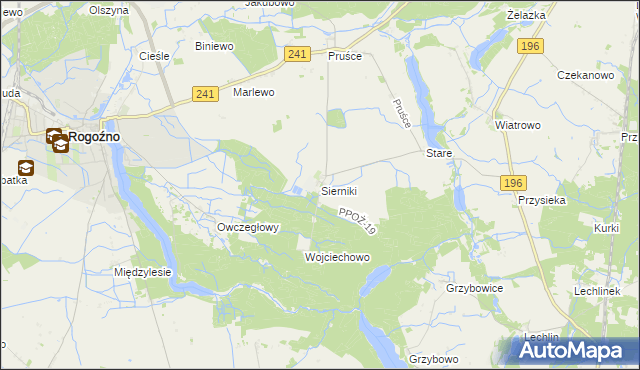 mapa Sierniki gmina Rogoźno, Sierniki gmina Rogoźno na mapie Targeo