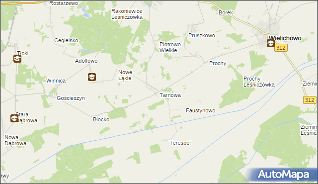 mapa Tarnowa gmina Rakoniewice, Tarnowa gmina Rakoniewice na mapie Targeo