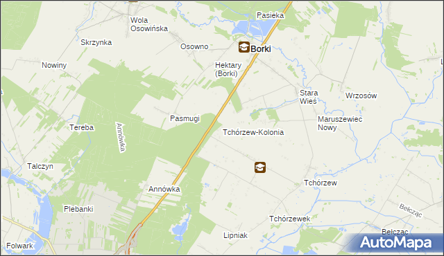 mapa Tchórzew-Kolonia, Tchórzew-Kolonia na mapie Targeo