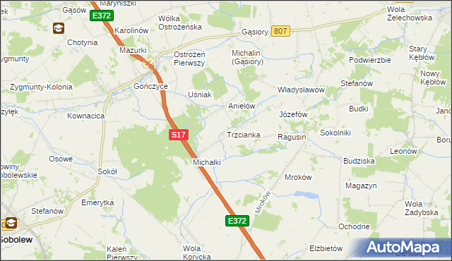 mapa Trzcianka gmina Sobolew, Trzcianka gmina Sobolew na mapie Targeo