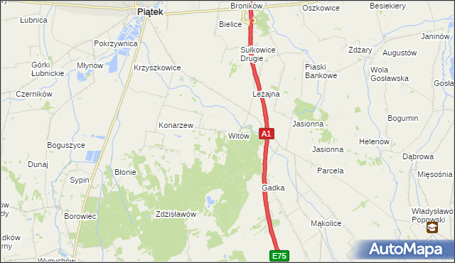 mapa Witów gmina Piątek, Witów gmina Piątek na mapie Targeo