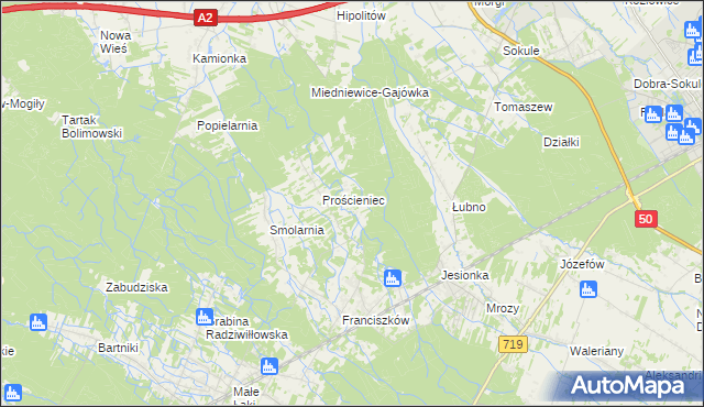 mapa Antoniew gmina Wiskitki, Antoniew gmina Wiskitki na mapie Targeo