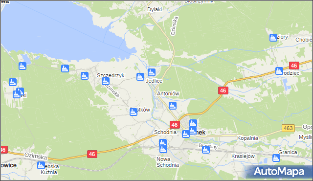 mapa Antoniów gmina Ozimek, Antoniów gmina Ozimek na mapie Targeo