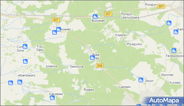 mapa Biała Wieś gmina Grodzisk Wielkopolski, Biała Wieś gmina Grodzisk Wielkopolski na mapie Targeo
