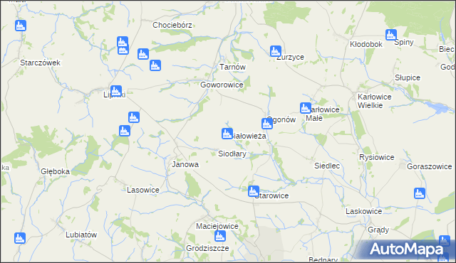 mapa Białowieża gmina Kamiennik, Białowieża gmina Kamiennik na mapie Targeo