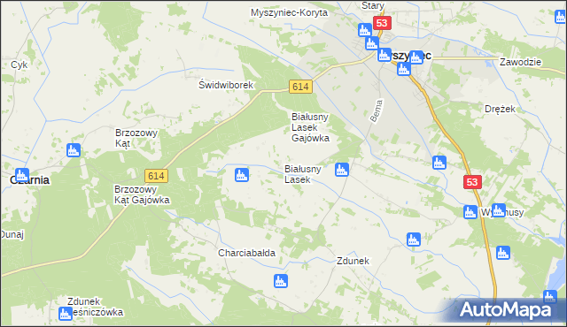 mapa Białusny Lasek, Białusny Lasek na mapie Targeo