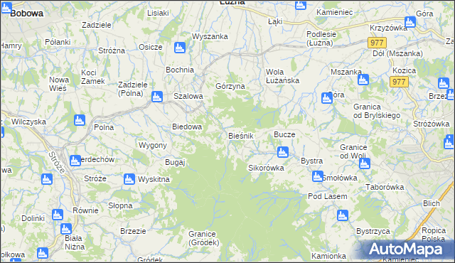 mapa Bieśnik gmina Łużna, Bieśnik gmina Łużna na mapie Targeo
