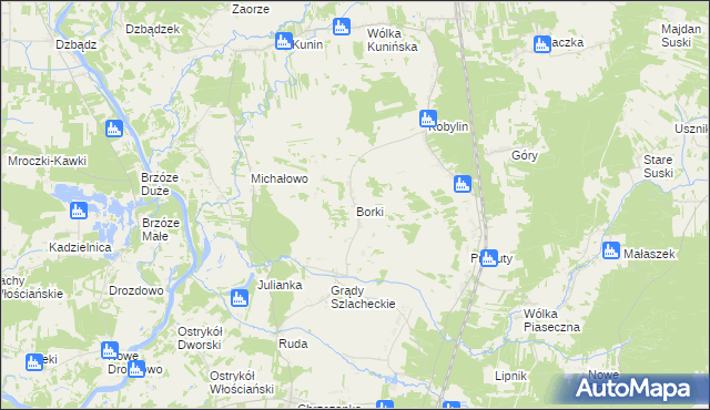 mapa Borki gmina Goworowo, Borki gmina Goworowo na mapie Targeo