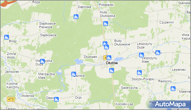 mapa Borkowice gmina Dłutów, Borkowice gmina Dłutów na mapie Targeo