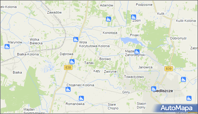 mapa Borowo gmina Siedliszcze, Borowo gmina Siedliszcze na mapie Targeo