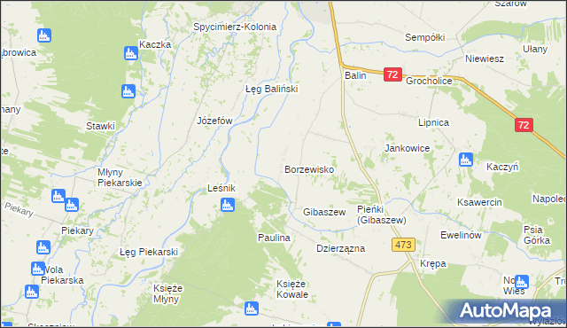 mapa Borzewisko gmina Poddębice, Borzewisko gmina Poddębice na mapie Targeo