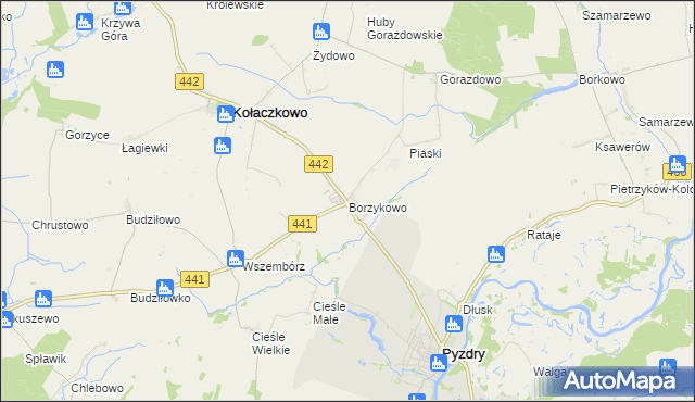 mapa Borzykowo gmina Kołaczkowo, Borzykowo gmina Kołaczkowo na mapie Targeo