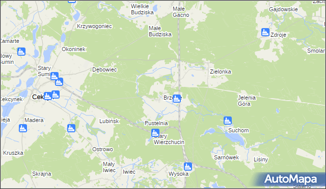 mapa Brzozie gmina Cekcyn, Brzozie gmina Cekcyn na mapie Targeo