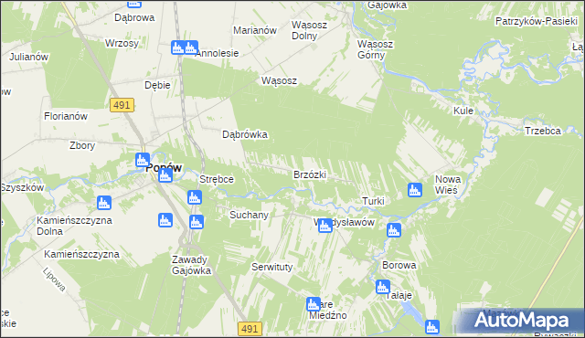 mapa Brzózki gmina Popów, Brzózki gmina Popów na mapie Targeo