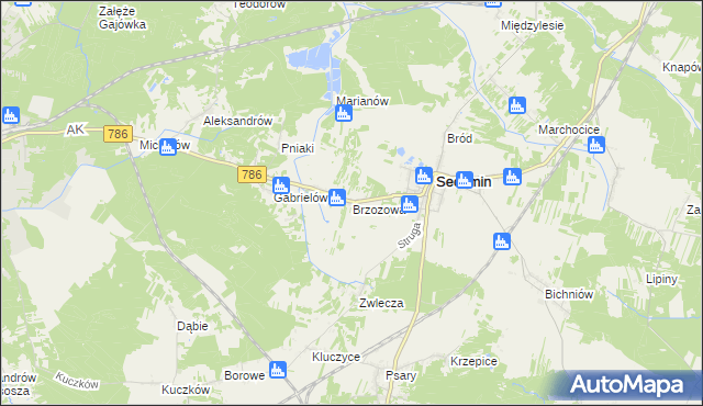mapa Brzozowa gmina Secemin, Brzozowa gmina Secemin na mapie Targeo
