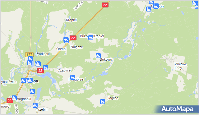 mapa Bukowo gmina Człopa, Bukowo gmina Człopa na mapie Targeo