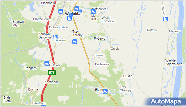 mapa Bzowo gmina Warlubie, Bzowo gmina Warlubie na mapie Targeo