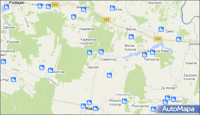mapa Cieleśnica, Cieleśnica na mapie Targeo