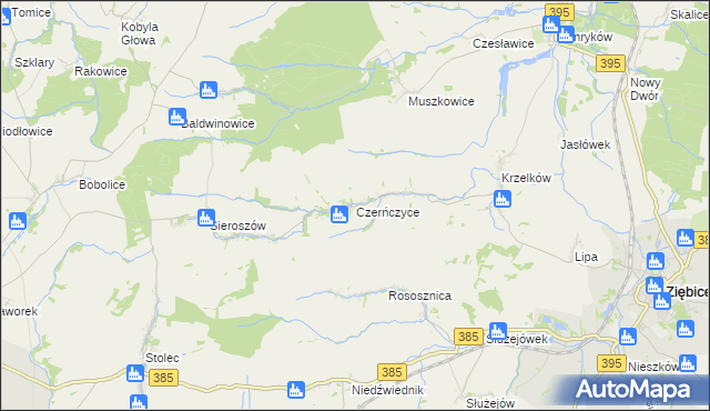 mapa Czerńczyce gmina Ziębice, Czerńczyce gmina Ziębice na mapie Targeo