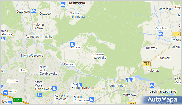 mapa Dąbrowa Kozłowska, Dąbrowa Kozłowska na mapie Targeo