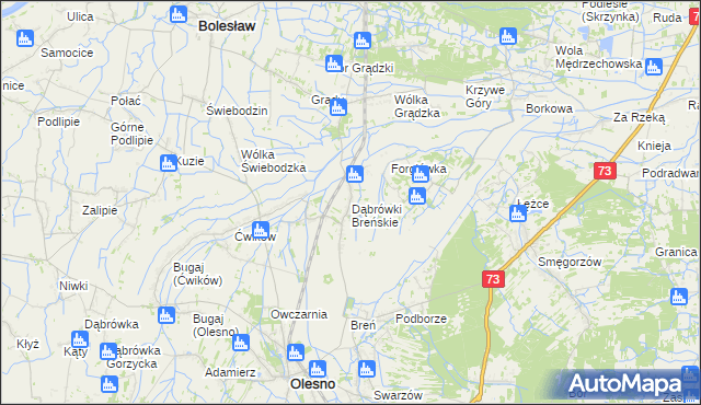 mapa Dąbrówki Breńskie, Dąbrówki Breńskie na mapie Targeo