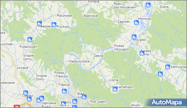 mapa Dębna gmina Sanok, Dębna gmina Sanok na mapie Targeo