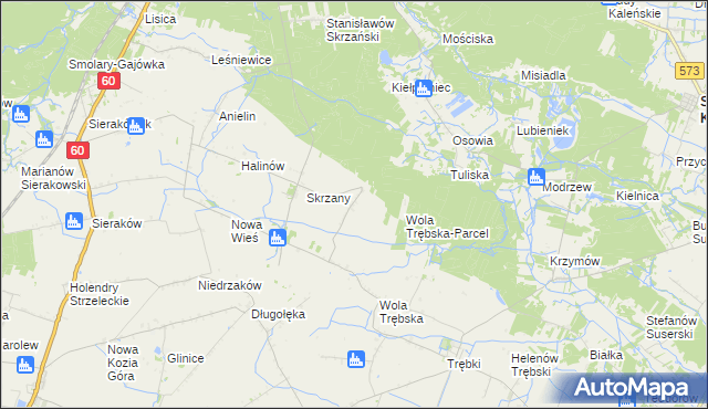 mapa Feliksów gmina Gostynin, Feliksów gmina Gostynin na mapie Targeo