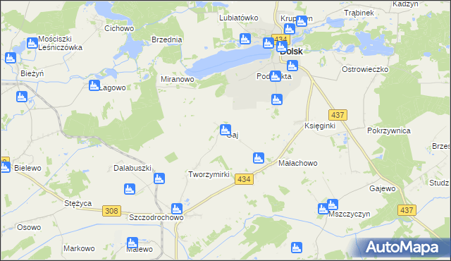 mapa Gaj gmina Gostyń, Gaj gmina Gostyń na mapie Targeo