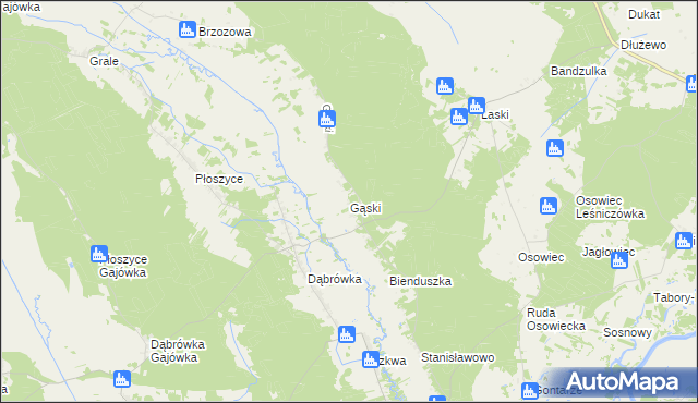 mapa Gąski gmina Lelis, Gąski gmina Lelis na mapie Targeo