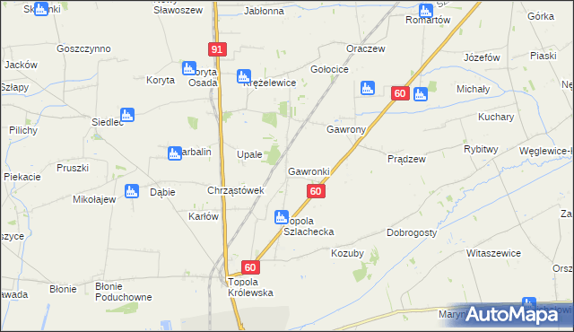 mapa Gawronki gmina Łęczyca, Gawronki gmina Łęczyca na mapie Targeo