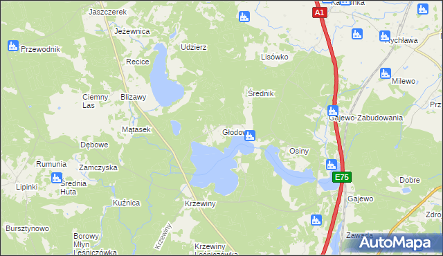 mapa Głodowo gmina Nowe, Głodowo gmina Nowe na mapie Targeo
