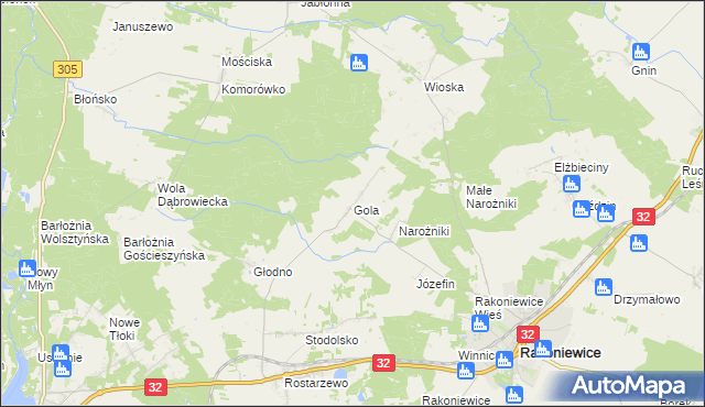 mapa Gola gmina Rakoniewice, Gola gmina Rakoniewice na mapie Targeo