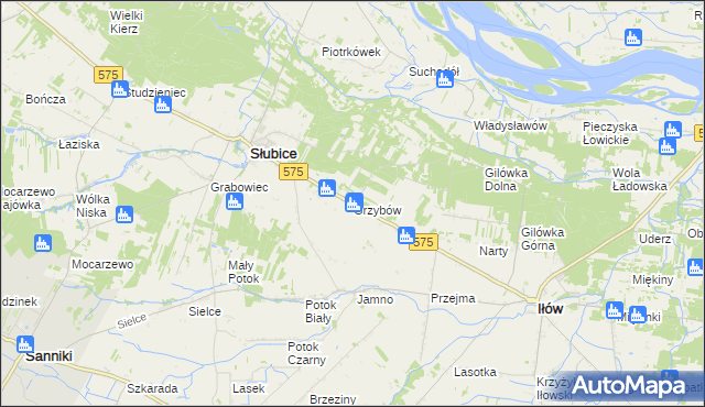 mapa Grzybów gmina Słubice, Grzybów gmina Słubice na mapie Targeo
