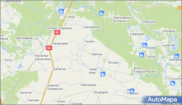 mapa Halinów gmina Gostynin, Halinów gmina Gostynin na mapie Targeo