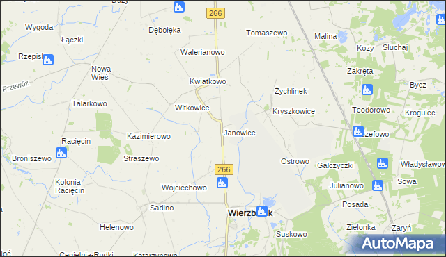 mapa Janowice gmina Wierzbinek, Janowice gmina Wierzbinek na mapie Targeo