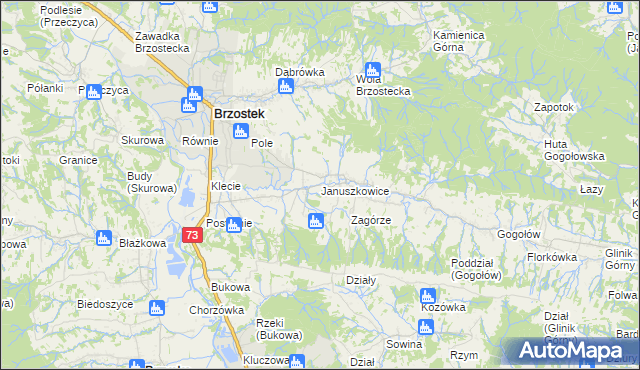 mapa Januszkowice gmina Brzostek, Januszkowice gmina Brzostek na mapie Targeo