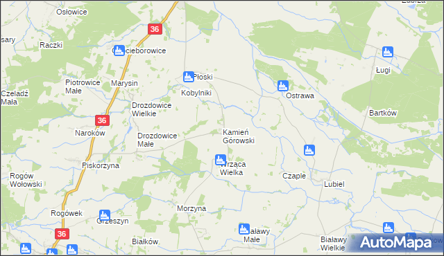 mapa Kamień Górowski, Kamień Górowski na mapie Targeo