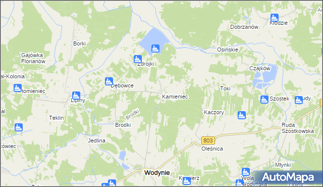 mapa Kamieniec gmina Wodynie, Kamieniec gmina Wodynie na mapie Targeo