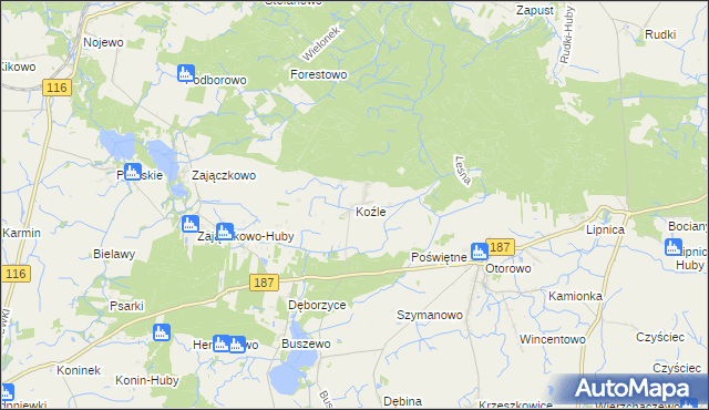 mapa Koźle gmina Szamotuły, Koźle gmina Szamotuły na mapie Targeo