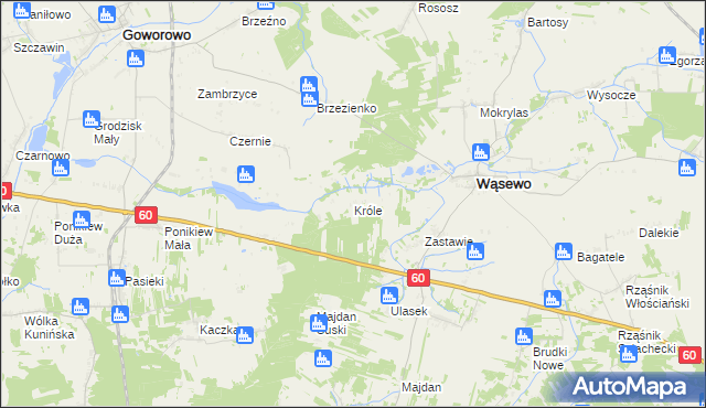 mapa Króle gmina Wąsewo, Króle gmina Wąsewo na mapie Targeo