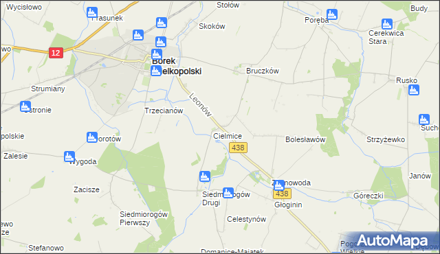 mapa Leonów gmina Borek Wielkopolski, Leonów gmina Borek Wielkopolski na mapie Targeo