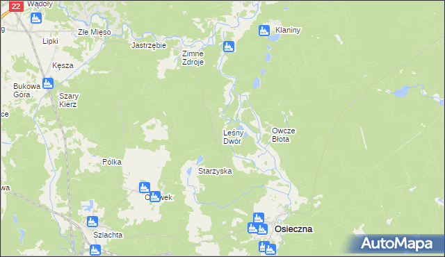 mapa Leśny Dwór gmina Osieczna, Leśny Dwór gmina Osieczna na mapie Targeo