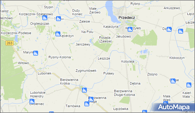mapa Leszcze gmina Kłodawa, Leszcze gmina Kłodawa na mapie Targeo