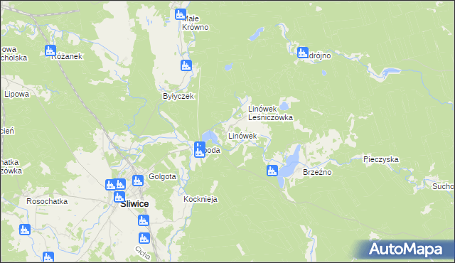 mapa Linówek gmina Śliwice, Linówek gmina Śliwice na mapie Targeo