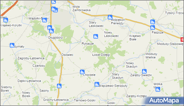 mapa Łosie-Dołęgi, Łosie-Dołęgi na mapie Targeo