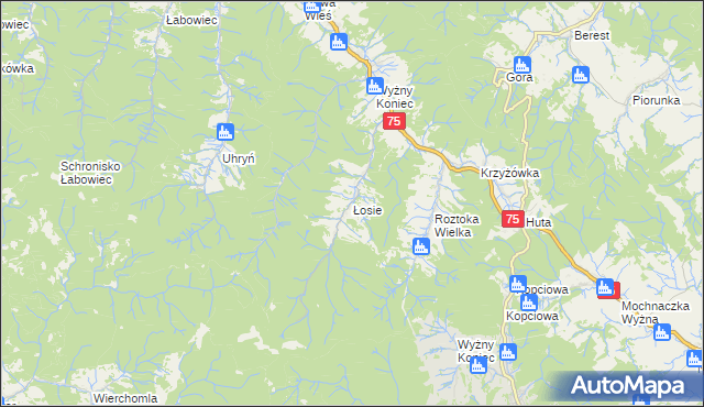 mapa Łosie gmina Łabowa, Łosie gmina Łabowa na mapie Targeo